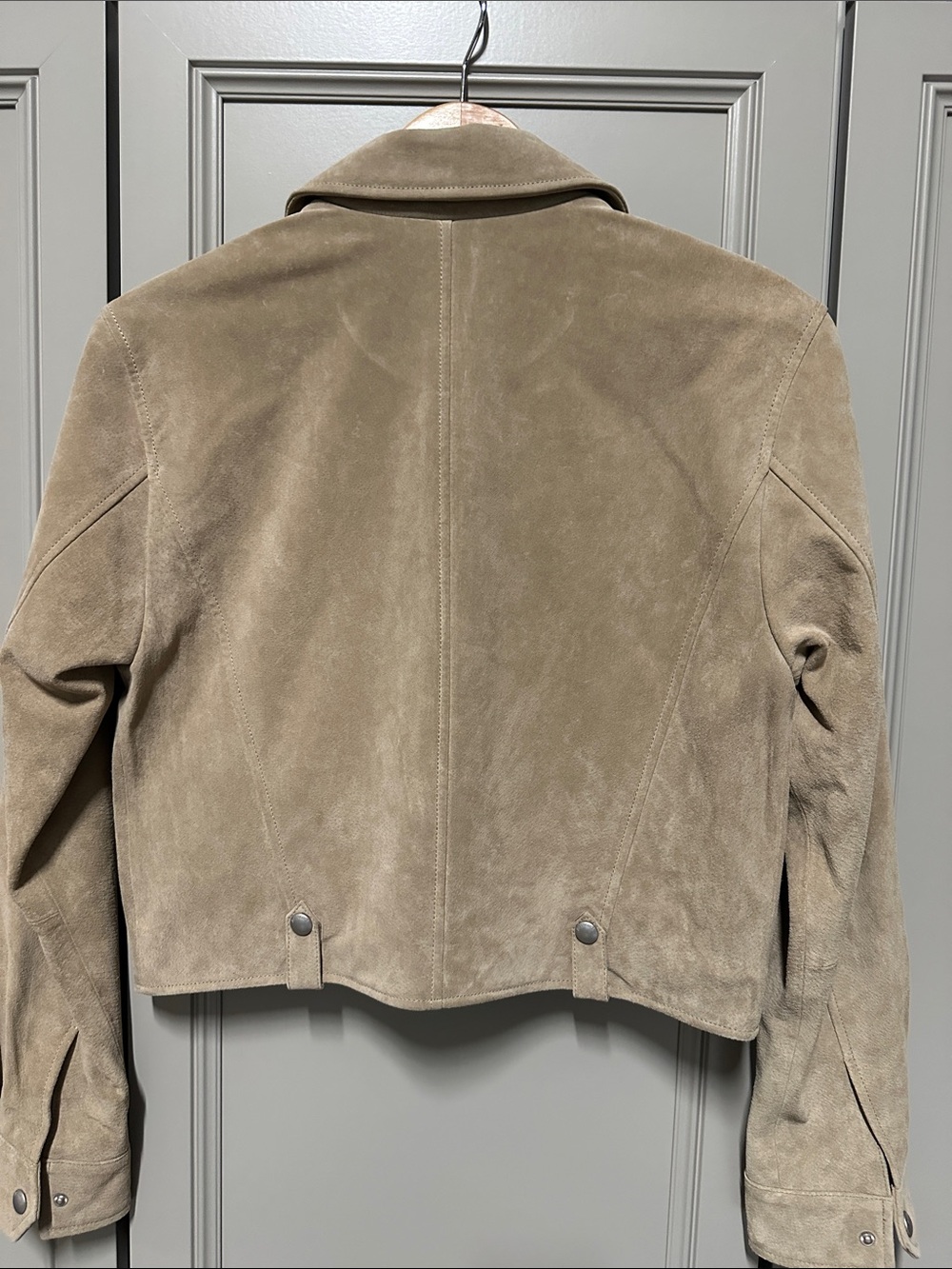 Blank NYC Taupe Suede Cropped Jacket - Picture 5 of 9